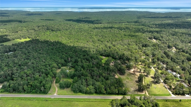 TBD Highway 156, Coldspring TX, 77331 land for sale