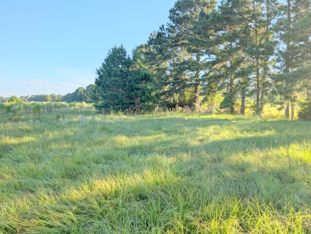 Listing photo 3 for TBD County Road 3385, Lovelady TX 75851