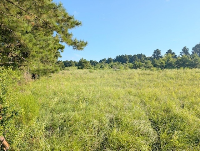 Listing photo 2 for TBD County Road 3385, Lovelady TX 75851