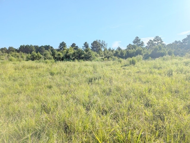 Listing photo 3 for TBD County Road 3385, Lovelady TX 75851