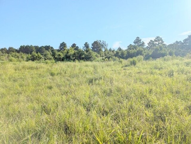 TBD County Road 3385, Lovelady, TX 75851 - photo 3