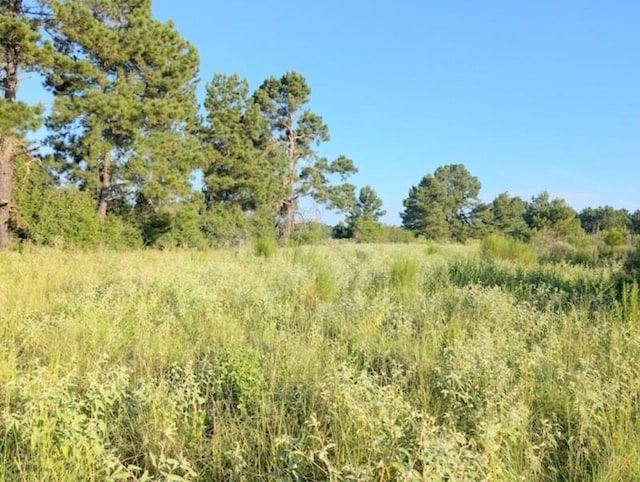 TBD County Road 3385, Lovelady, TX 75851 - photo 4