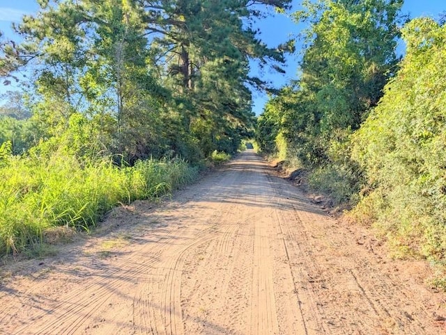 TBD County Road 3385, Lovelady, TX 75851 - photo 9