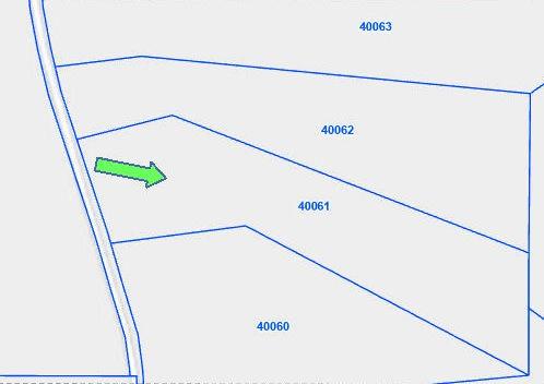 TBD County Road 3385, Lovelady, TX 75851 - photo 11