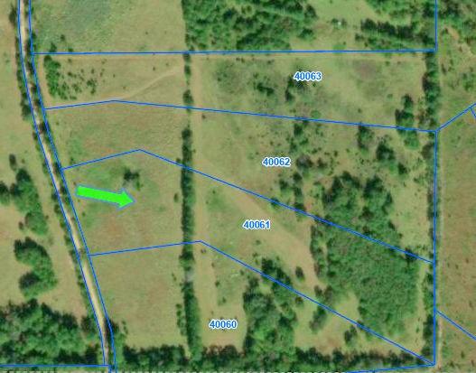 TBD County Road 3385, Lovelady, TX 75851 - photo 1
