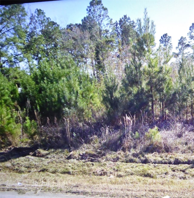 50 County Road 3479a, Cleveland TX, 77327 land for sale