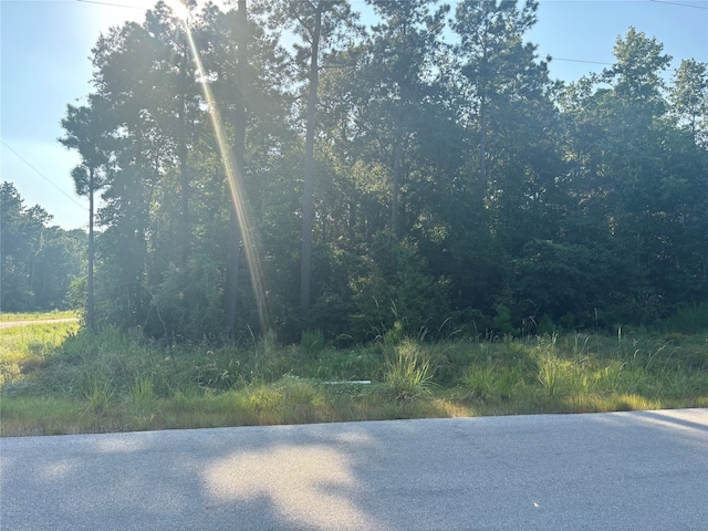 Listing photo 2 for TBD Grey Feather Rd, Huntsville TX 77340