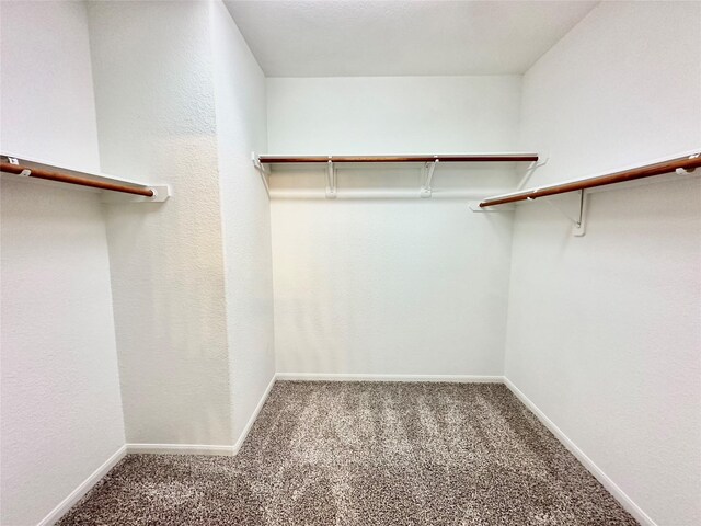 walk in closet with carpet flooring