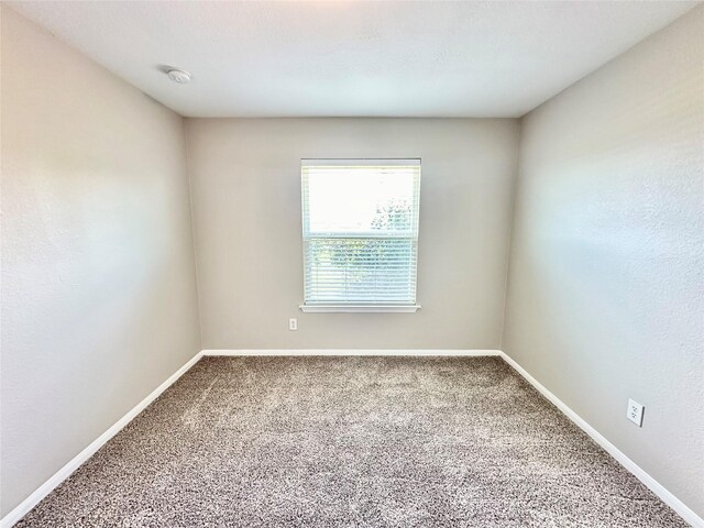 empty room featuring carpet floors