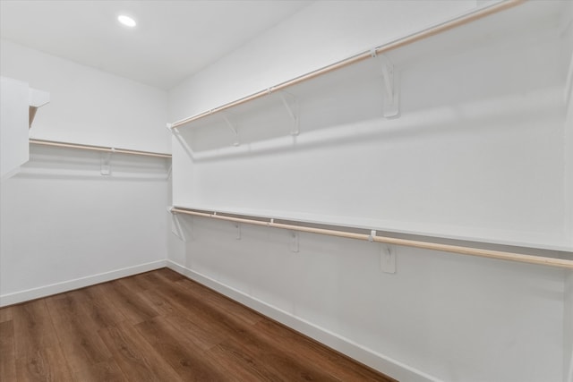 walk in closet with dark wood-type flooring