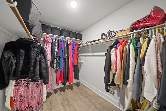 walk in closet with wood-type flooring