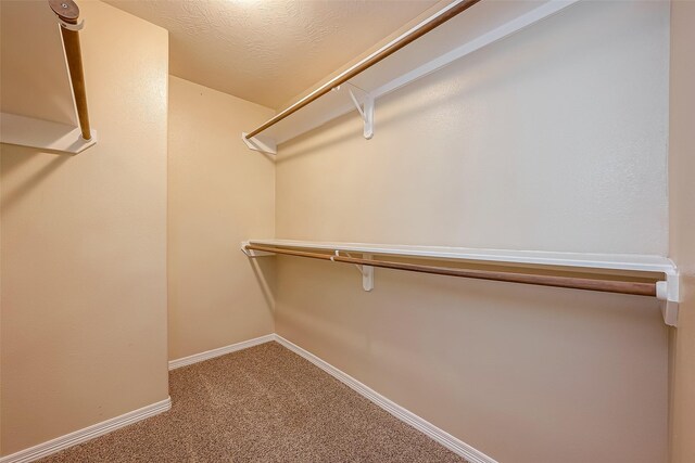 walk in closet featuring carpet flooring