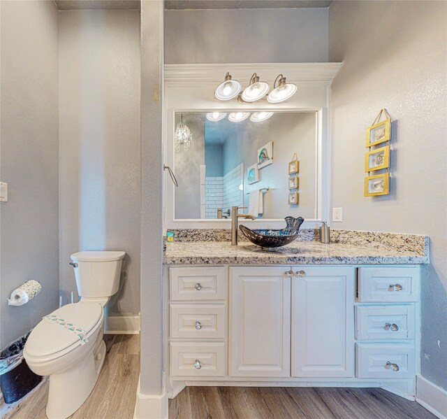 bathroom featuring hardwood / wood-style flooring, vanity, and toilet