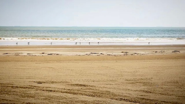 water view featuring a beach view