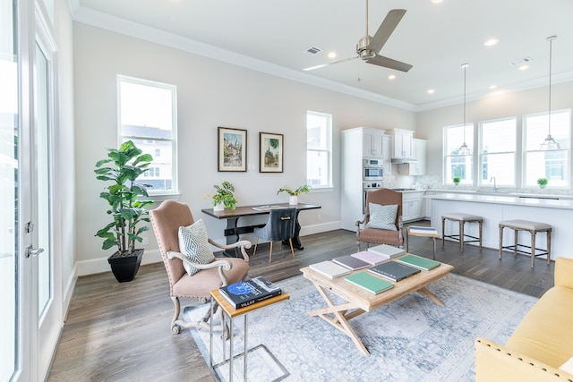 living room with sink, ceiling fan, dark hardwood / wood-style flooring, and ornamental molding