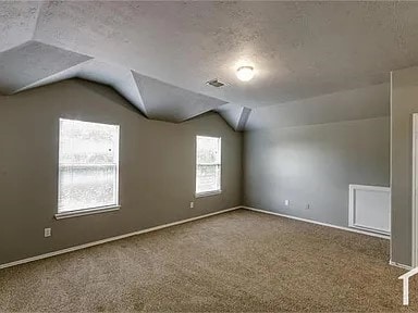 bonus room featuring a textured ceiling, carpet flooring, and vaulted ceiling