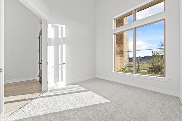 empty room featuring light colored carpet and a wealth of natural light