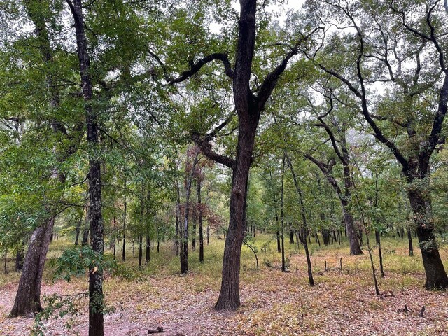 000 Fm-247, Midway, TX 75852