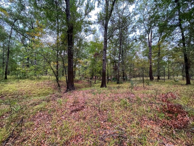 000 Fm-247, Midway, TX 75852