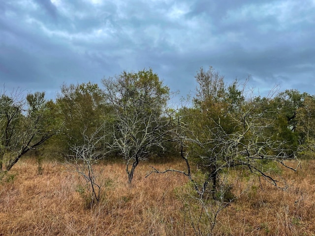 000 Fm-247, Midway TX, 75852 land for sale