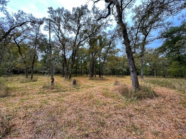 000 Fm-247, Midway, TX 75852