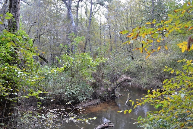 view of nature