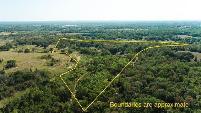 na Fcr 290, Oakwood TX, 75855 land for sale