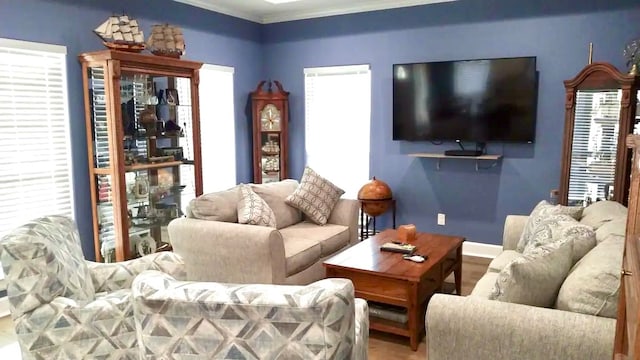 living room with ornamental molding and wood-type flooring