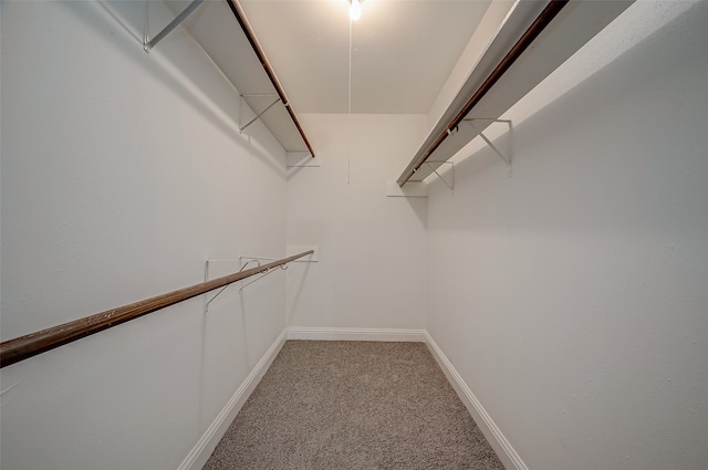 spacious closet with carpet