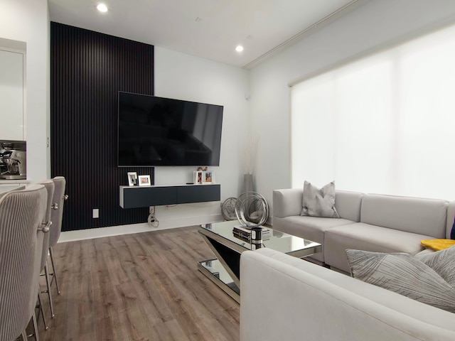 living room with wood-type flooring