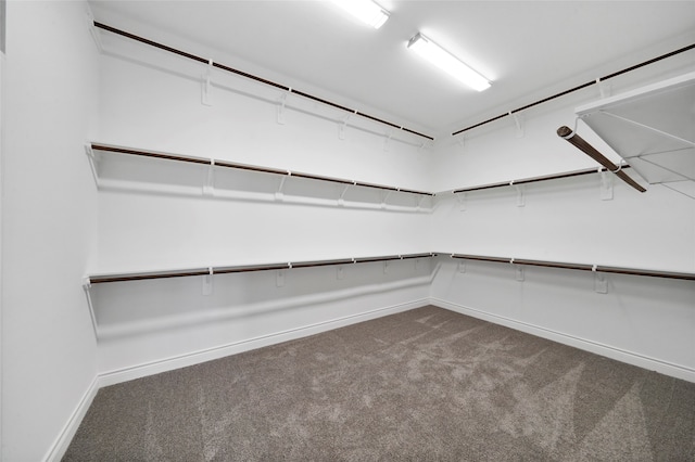 walk in closet with carpet