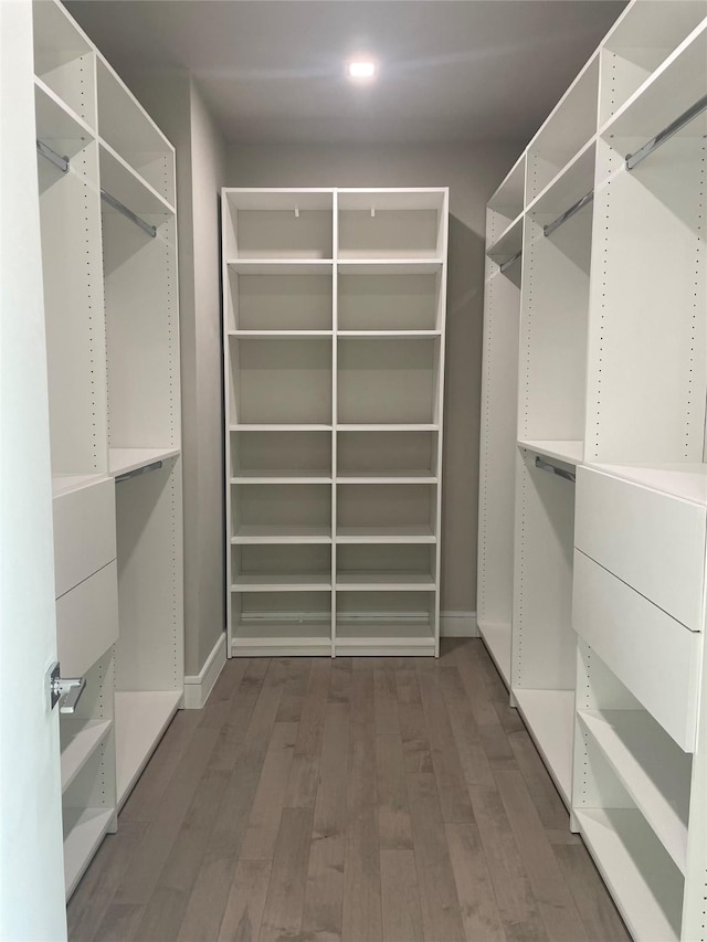 walk in closet with dark wood-type flooring