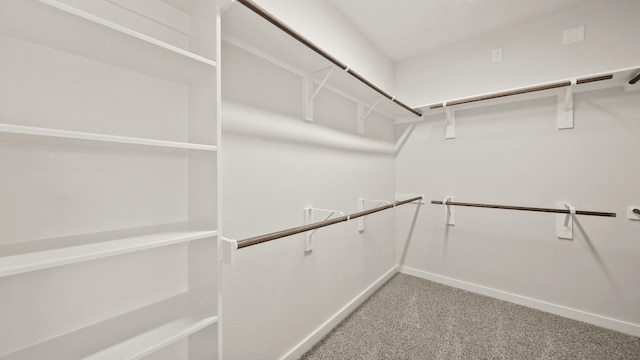 spacious closet with carpet