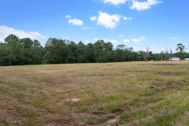 000 Treaschwig Rd, Spring, TX 77373