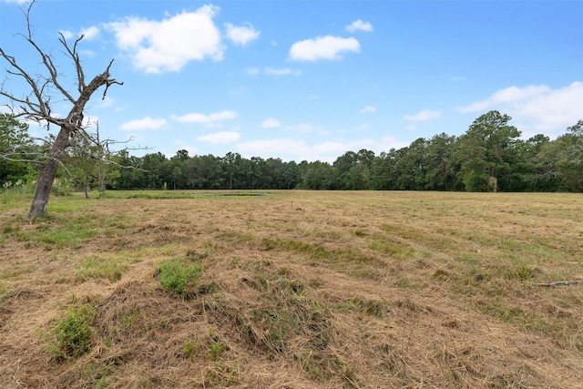 000 Treaschwig Rd, Spring, TX 77373
