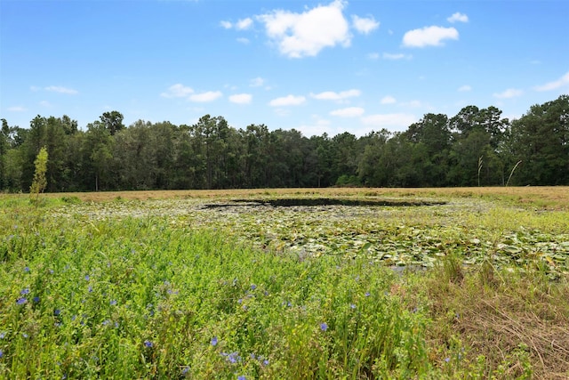 000 Treaschwig Rd, Spring, TX 77373