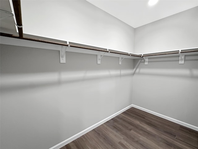 spacious closet featuring hardwood / wood-style floors