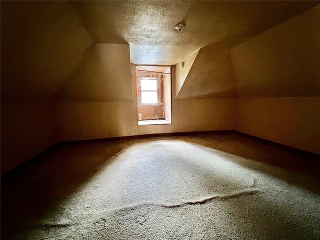 additional living space featuring vaulted ceiling, a textured ceiling, and carpet flooring