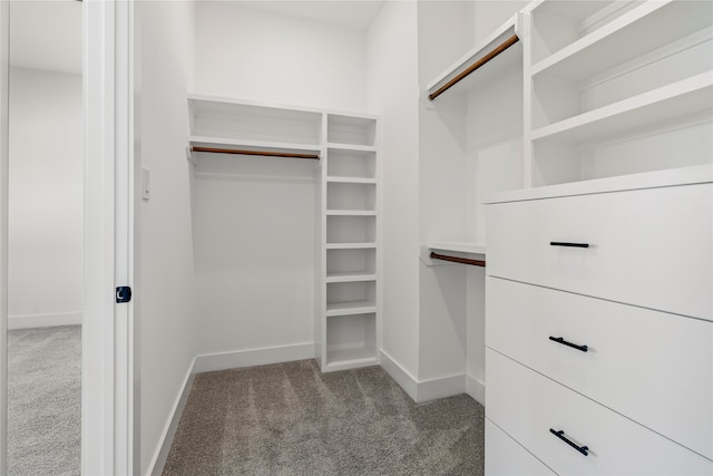 spacious closet featuring light colored carpet