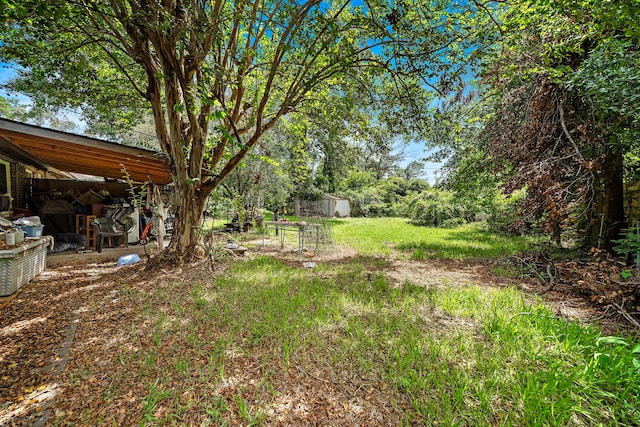 view of yard featuring a storage shed