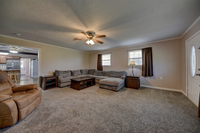 living room featuring crown molding, light colored carpet, and a textured ceiling