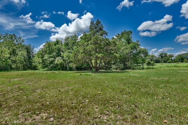 view of landscape featuring a rural view