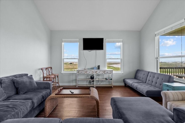 119 Velasco Shores Dr, Surfside Beach, TX 77541 - living area featuring lofted ceiling and wood finished floors