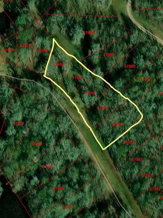 201 County Road 2870, Cleveland TX, 77327 land for sale