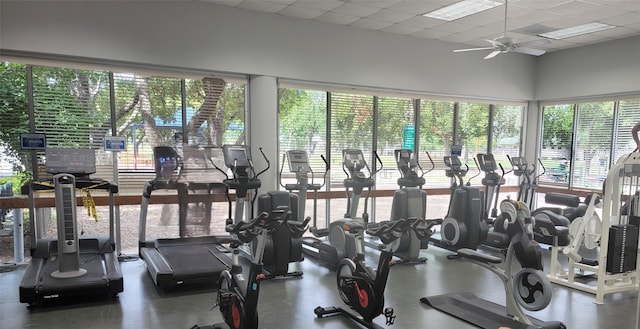 workout area featuring a paneled ceiling and ceiling fan