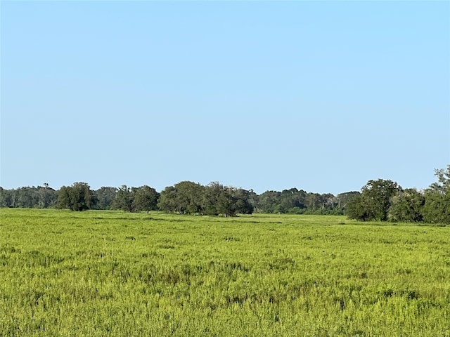 Listing photo 3 for 00 County Road 394, El Campo TX 77437