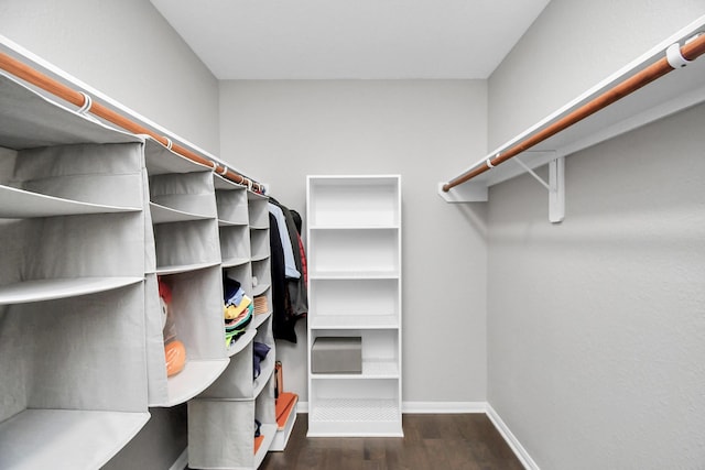18306 Fresh Air Ct, Houston, TX 77084 - walk in closet with wood finished floors