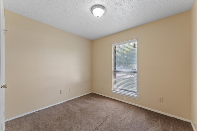 empty room featuring carpet floors and a textured ceiling