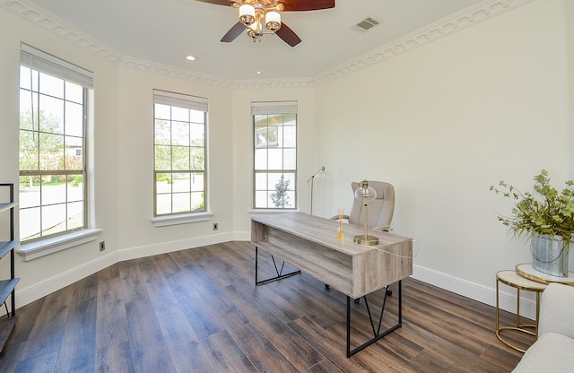 office area featuring ceiling fan, ornamental molding, and dark hardwood / wood-style flooring