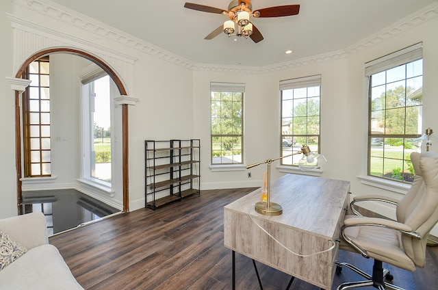 office featuring plenty of natural light, ceiling fan, and dark hardwood / wood-style flooring